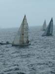 03 - regata