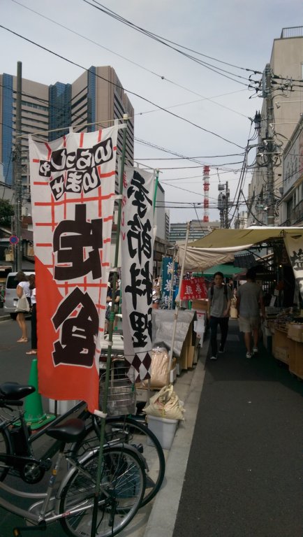 imag1184.jpg