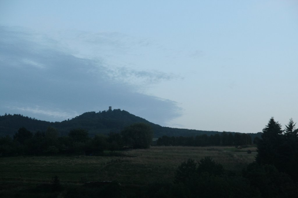image009