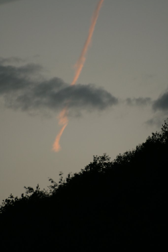 image011