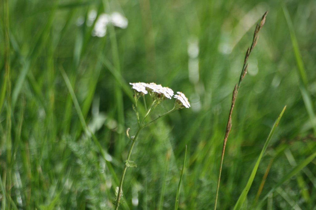 image081