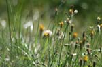 image080